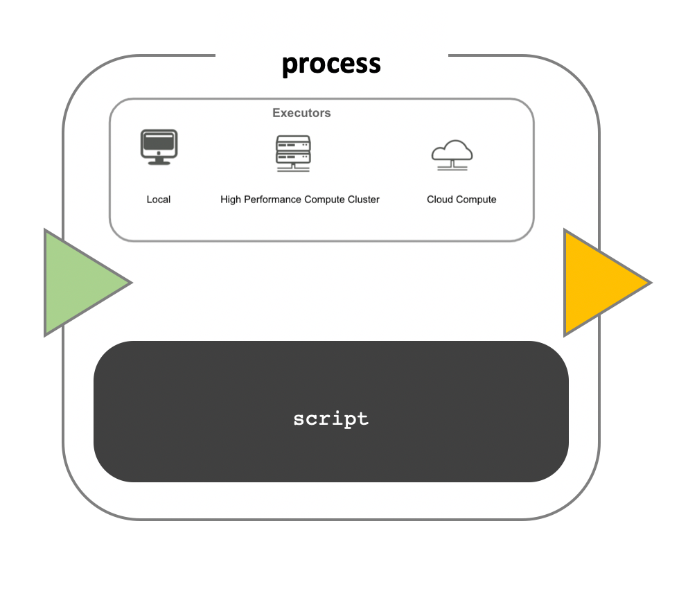 Diagram of a computational process within a bioinformatics workflow. The image features a large, central, rounded rectangle labeled 'process' with a smaller rectangle inside it labeled 'script', indicating the code or commands that are being implemented. Above the script box, there is a smaller inset labeled 'Executors' with three icons: a desktop computer labeled 'Local', a stack of servers labeled 'High Performance Compute Cluster', and a cloud symbol labeled 'Cloud Compute'. These represent the different computing environments where the script can be implemented. To the left of the process box is a green left-pointing arrowhead, suggesting input into the process, and to the right is a yellow right-pointing arrowhead, indicating the direction of output from the process.