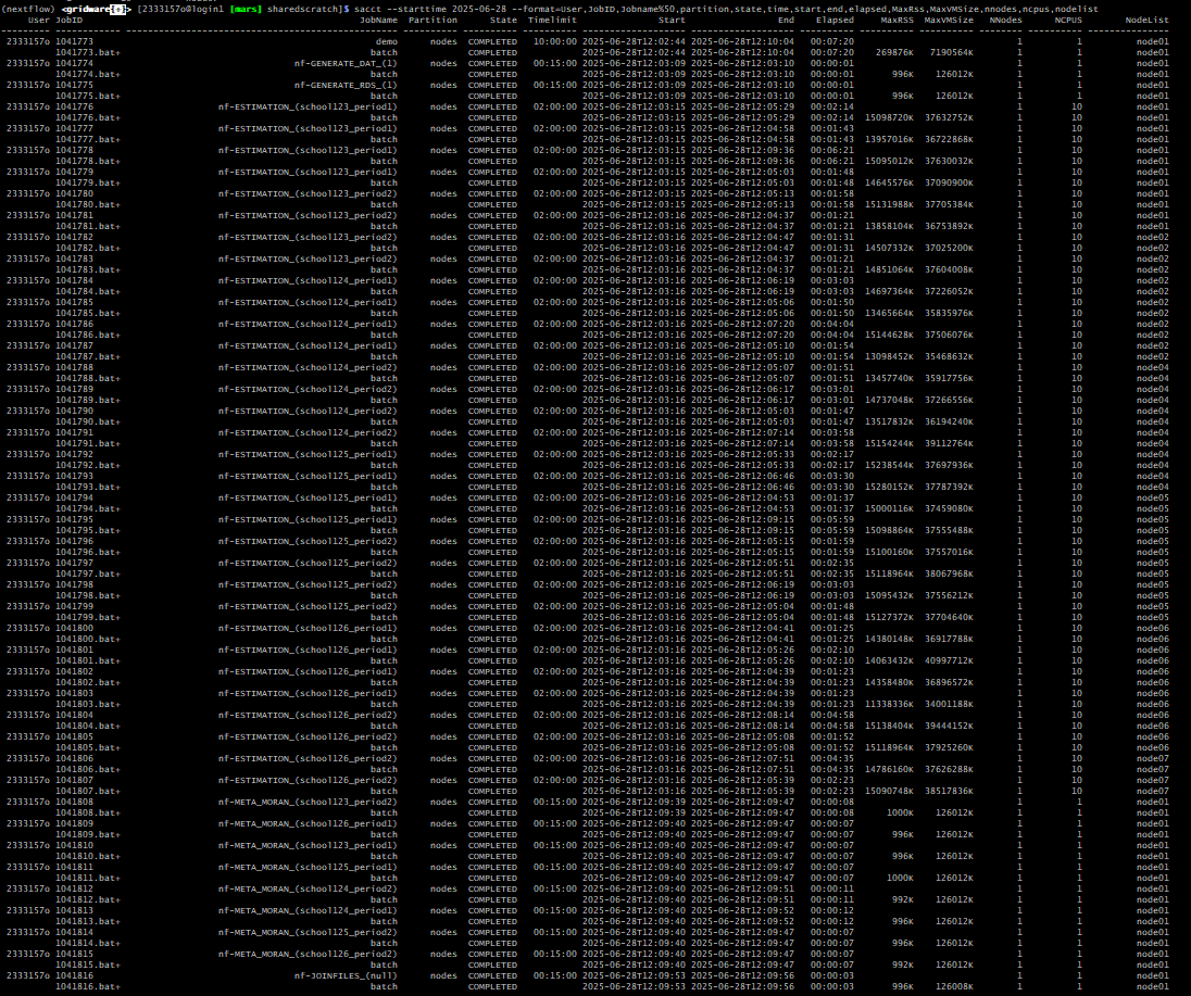 Batch job submission on compute cluster using the workflow profile slurm.